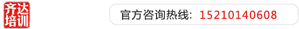 欧美艹你逼视频齐达艺考文化课-艺术生文化课,艺术类文化课,艺考生文化课logo